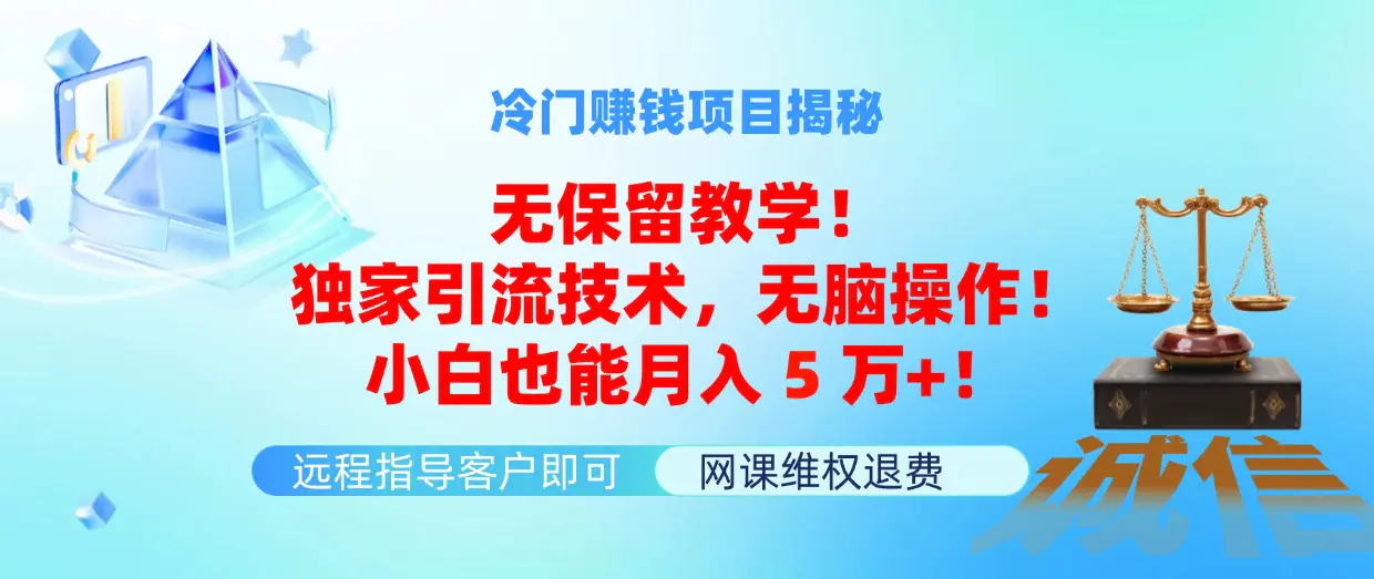 冷门赚钱项目无保留教学！独家引流技术，无脑操作！小白也能月入5万+！-3A资源站